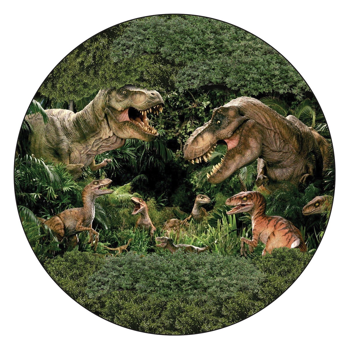 Disque azyme Dinosaures jungle