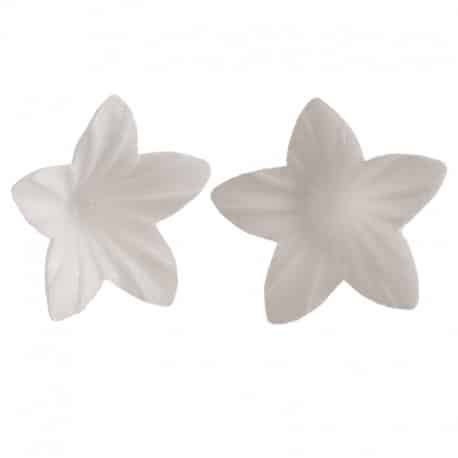 Petite fleur de Lila blanche en hostie