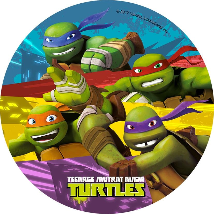 Disque Azyme Tortues Ninja Déco Gâteau Anniversaire 20cm Aléatoire - 765