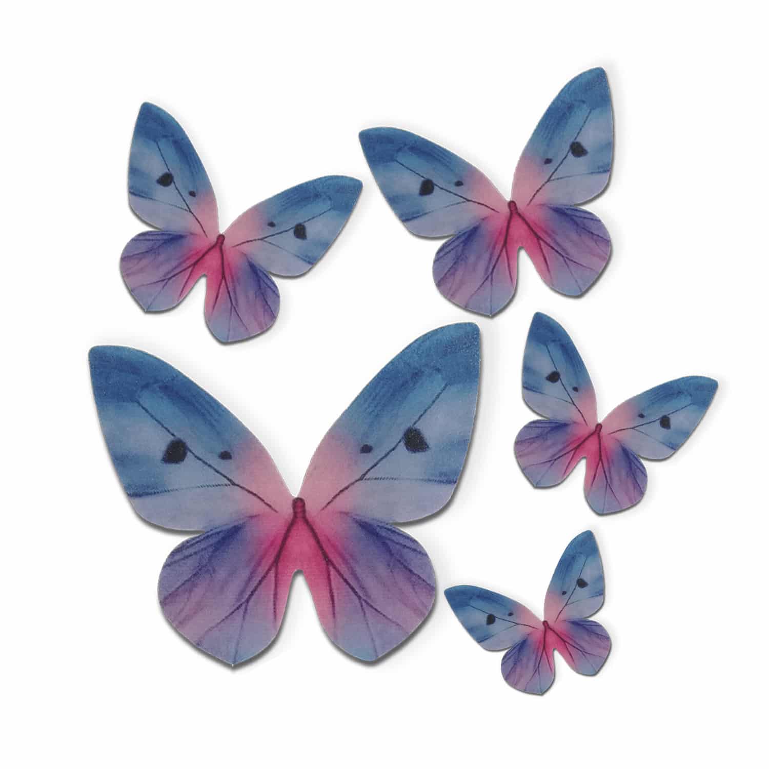 Papillon bleu et rose en azyme