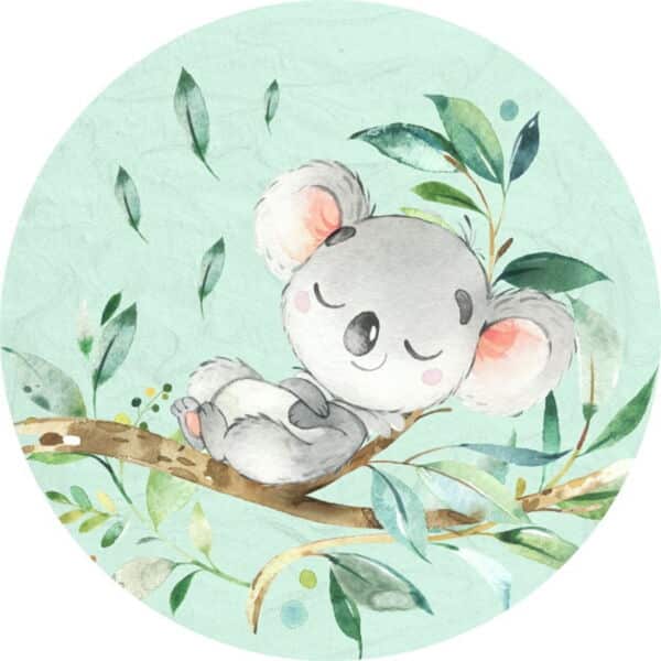 disque azyme koala animaux jungle