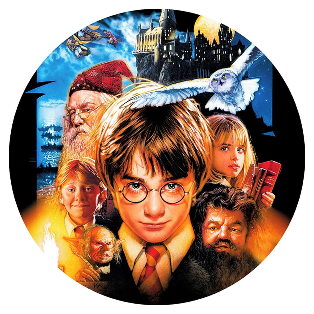 Disque azyme Harry Potter