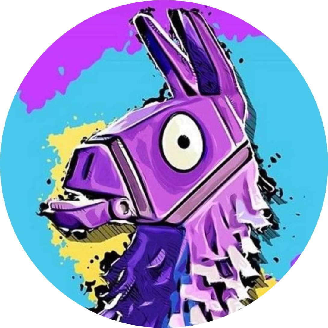 Disque azyme Fortnite Lama Jeux vidéo