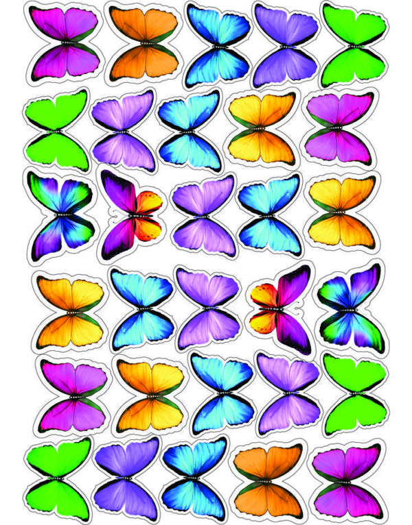 papillons en azyme multicolores