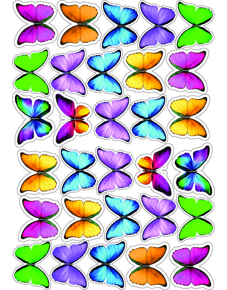 Papillons en azyme multicolores
