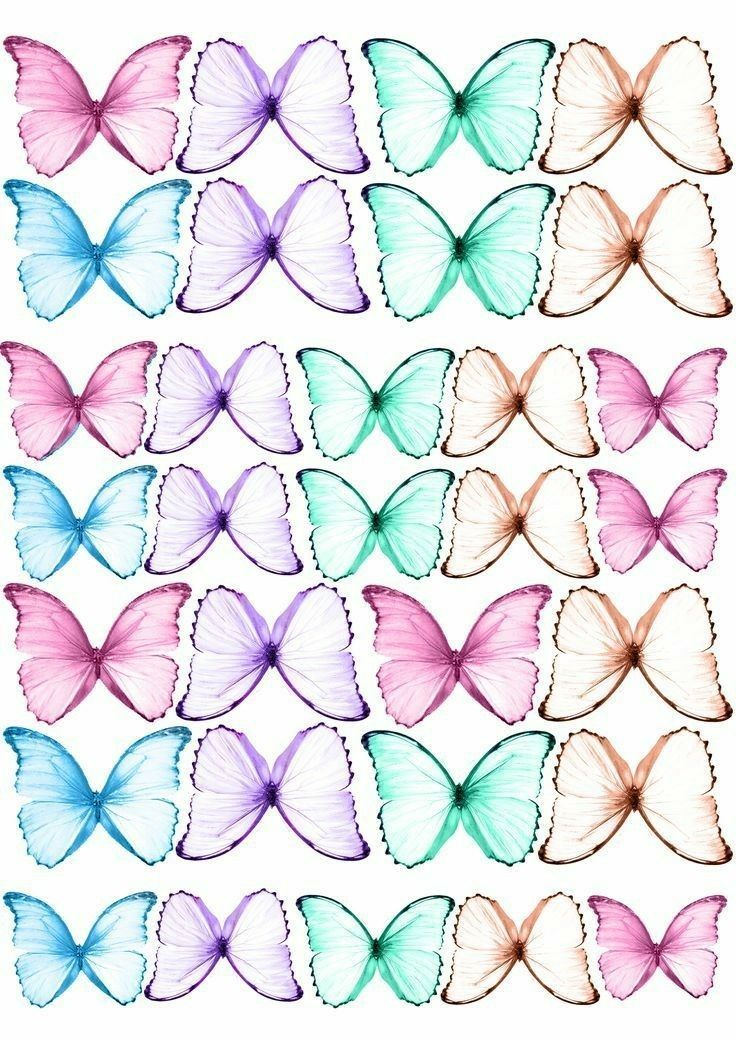Papillons en azyme pastel