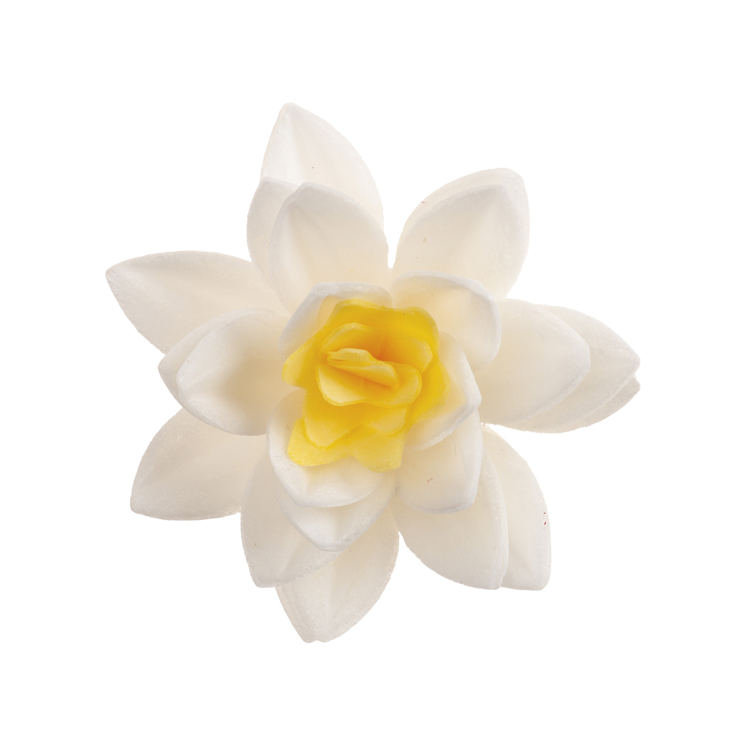 Fleur azyme Aya 7cm