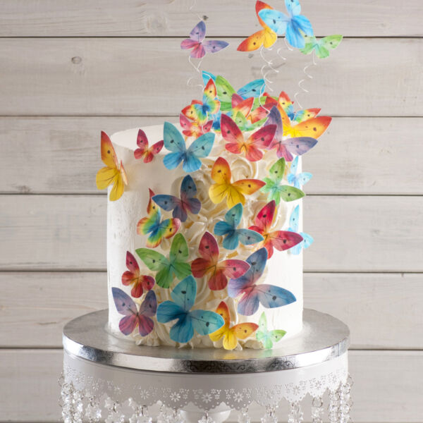 papillon en azyme coloré entre 3 et 6cm