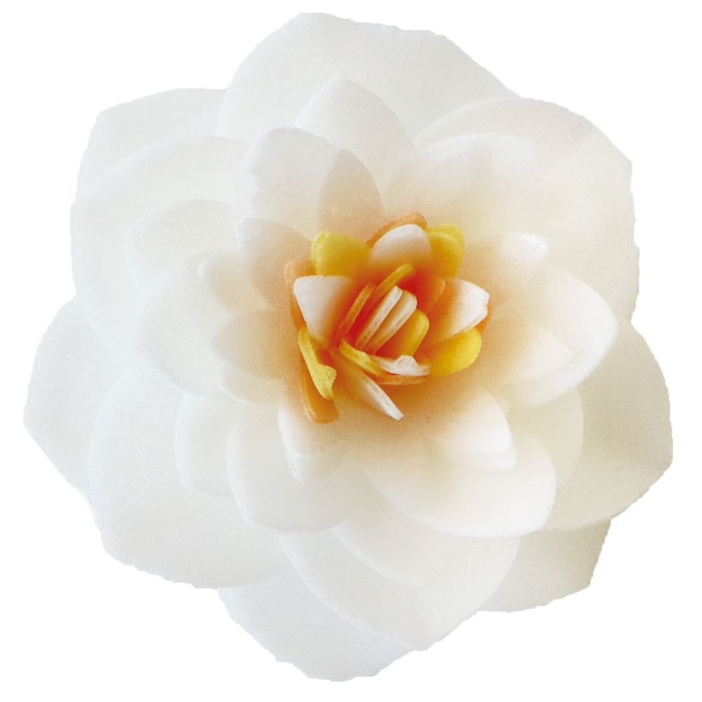 4 Camélias blancs en azyme