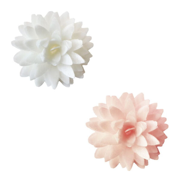 5 dahlias blanc/pêche en azyme