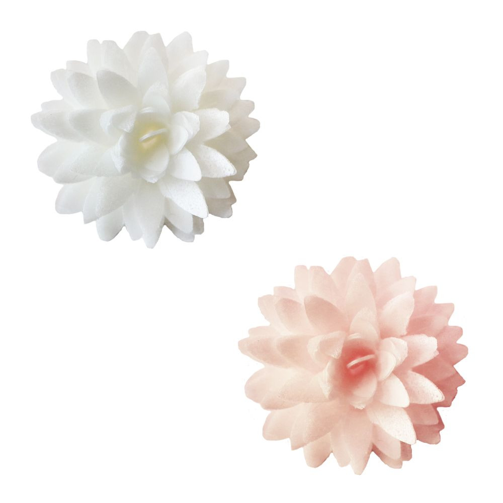 5 Dahlias blanc/pêche en azyme