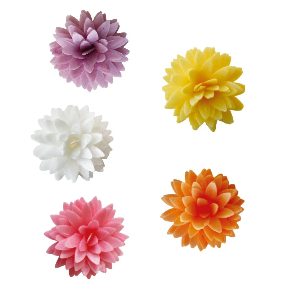 5 Dahlias colorés en azyme