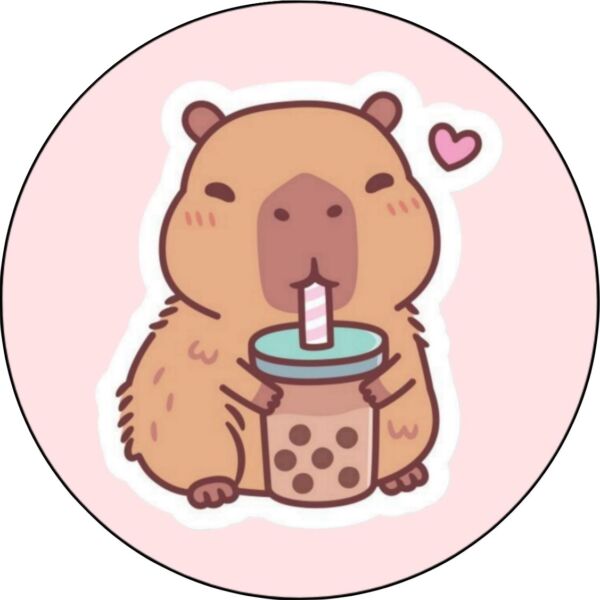 disque azyme capybara kawaii