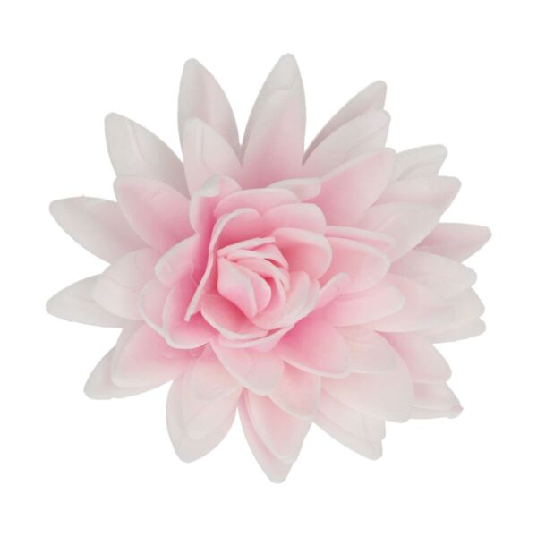 grande pivoine rose ombre