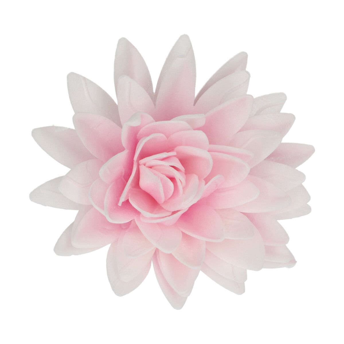 Grande Pivoine rose ombre 12,5cm