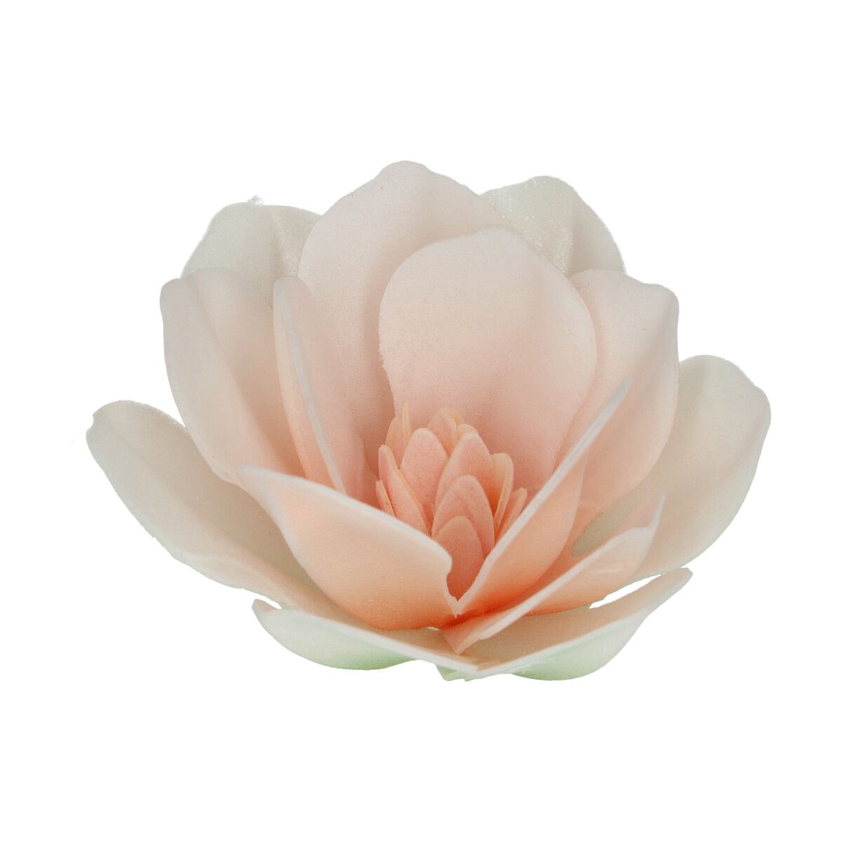 Magnolia en azyme blanc