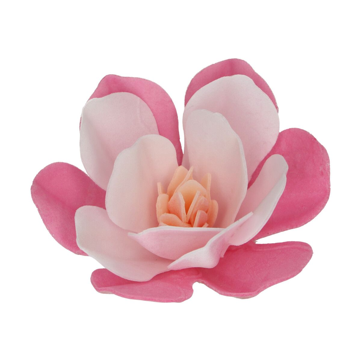 Magnolia en azyme rose